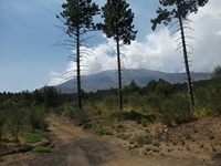 Pineta_Ragabo - 20110828 129.jpg